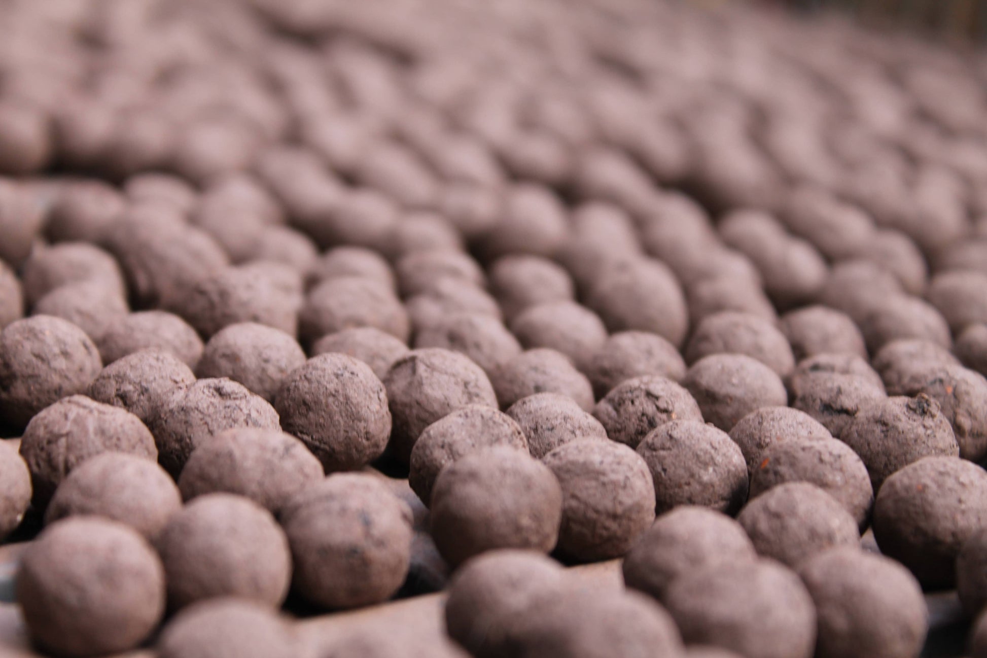 Plantlife Mix Seedball Tin-Seedball-My Beautiful Caravan