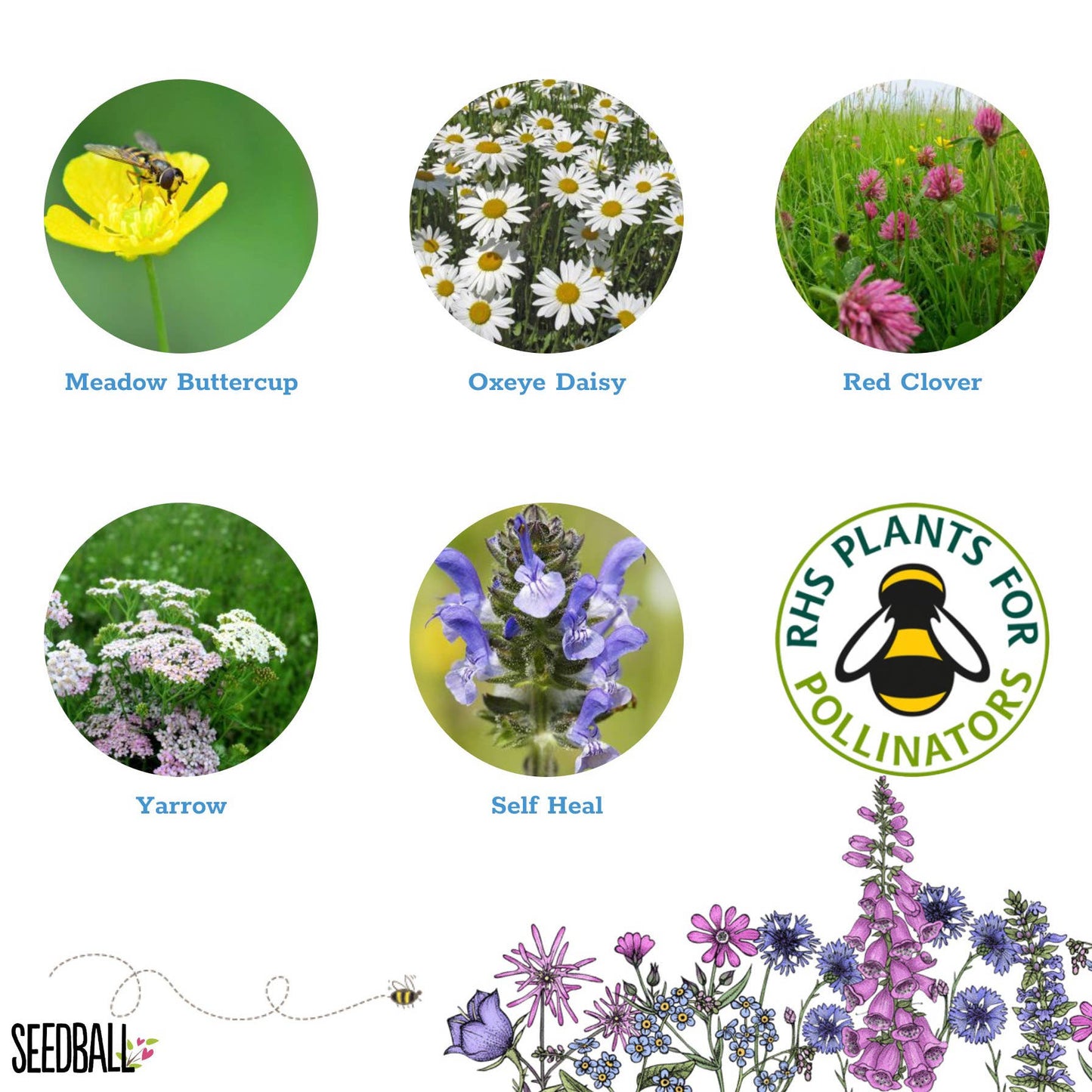 Plantlife Mix Seedball Tin-Seedball-My Beautiful Caravan