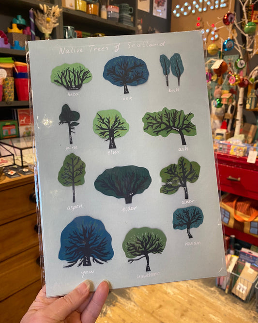 Print of Native Trees of Scotland held in a hand with a store interior background.