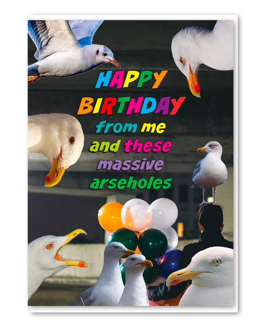 Seagull Arseholes Birthday Card-Objectables-My Beautiful Caravan