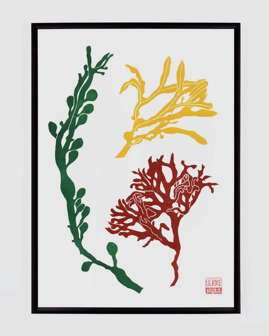 Seaweed Lino Print-Studio Wald-My Beautiful Caravan