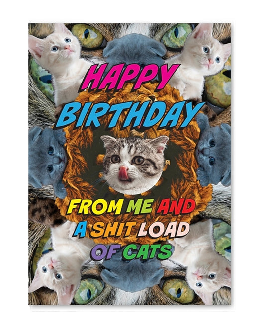 Shit Load Of Cats Birthday Card-Objectables-My Beautiful Caravan