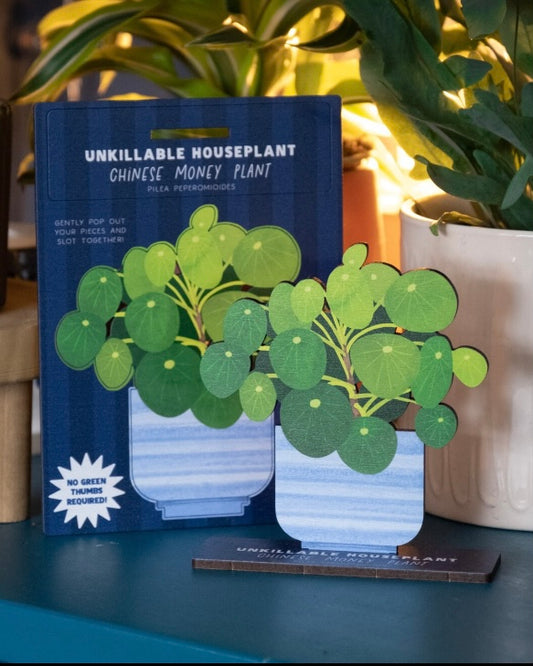 Unkillable Chinese Money Plant Wooden Card-Dapple & Dot-My Beautiful Caravan