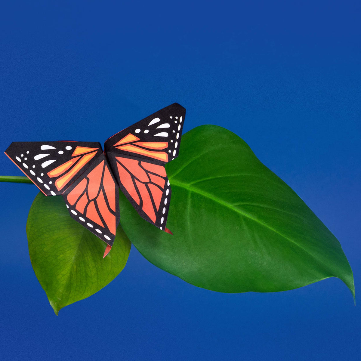 Origami Butterflies Create and Display Kit